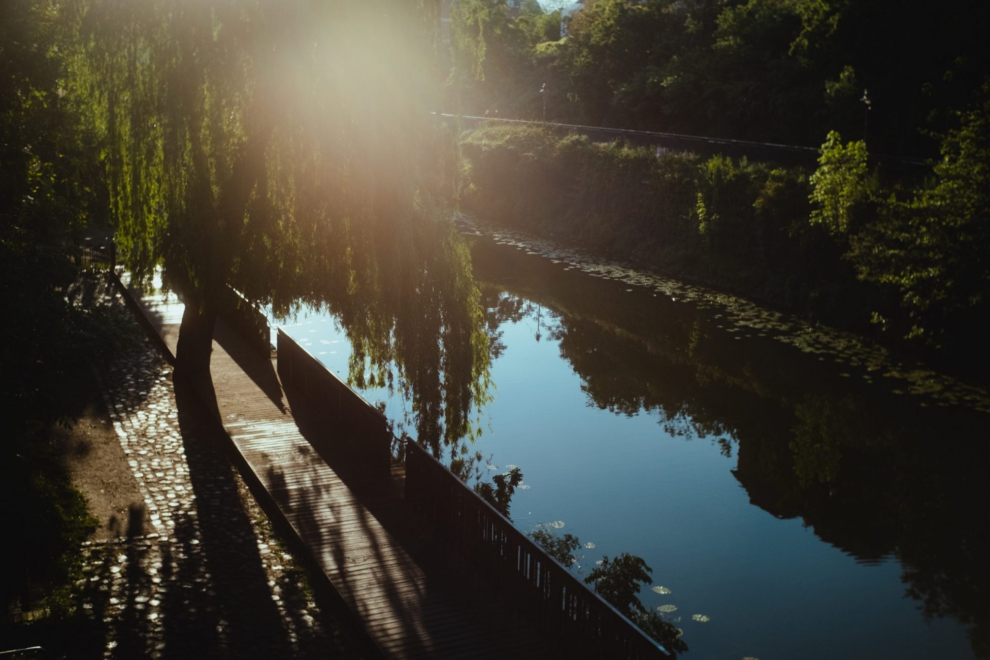 kilian-seiler-WyoeaFTD3ss-unsplash
